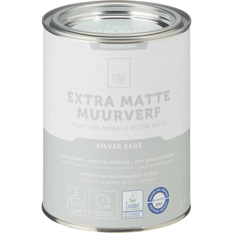 Muurverf Professional Silver Sage 1 l