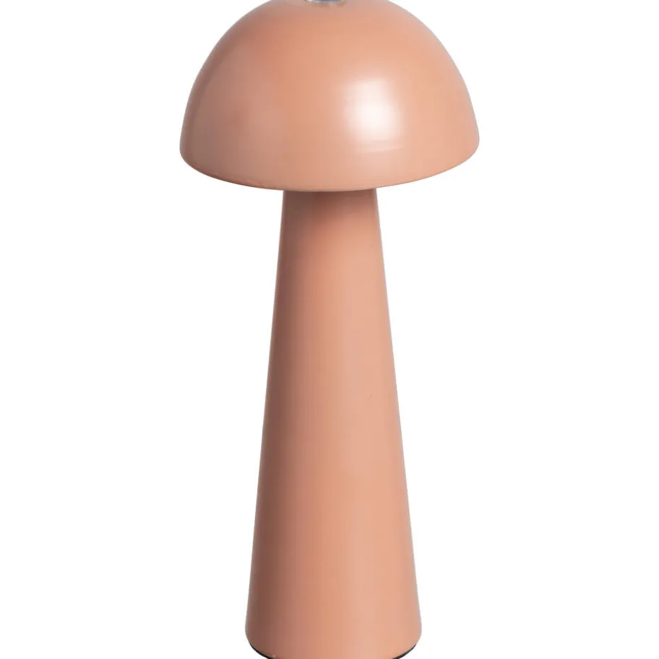 Tafellamp USB Alzir Terra